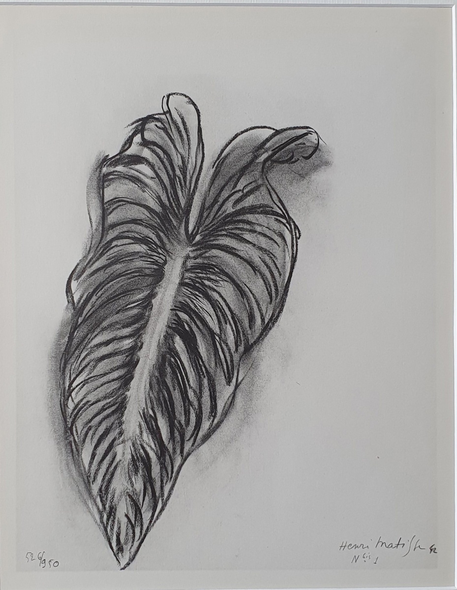 henri matisse henri matisse
