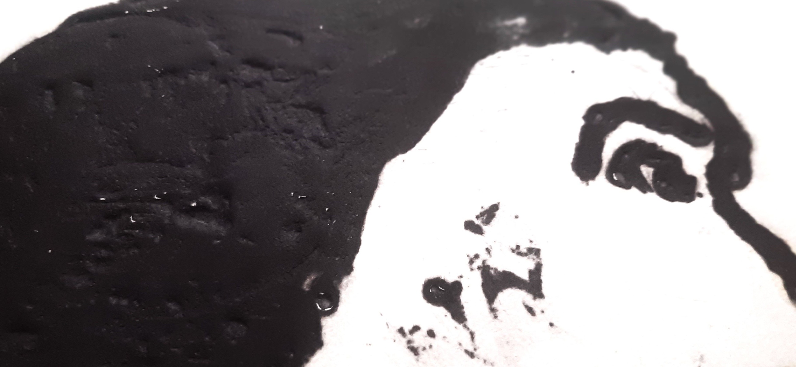 Segui, tête de femme, extrait Segui, tête de femme, extrait